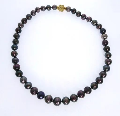 Tahitian Peacock Pearl Strand in 18ct Yellow Gold, Box 47cm